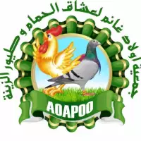 Asociation Ouled Ghanem Amateur pPigeon at OIseau d'd'ornement  